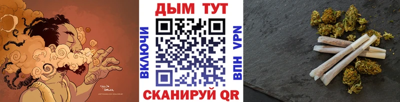 Бошки Шишки Amnesia  Купить закладки  Котельники 